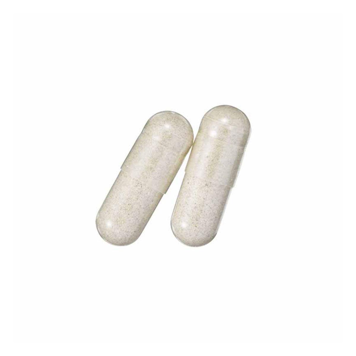 SVELTY Pakkun Yeast Premium （2024.01  expires）