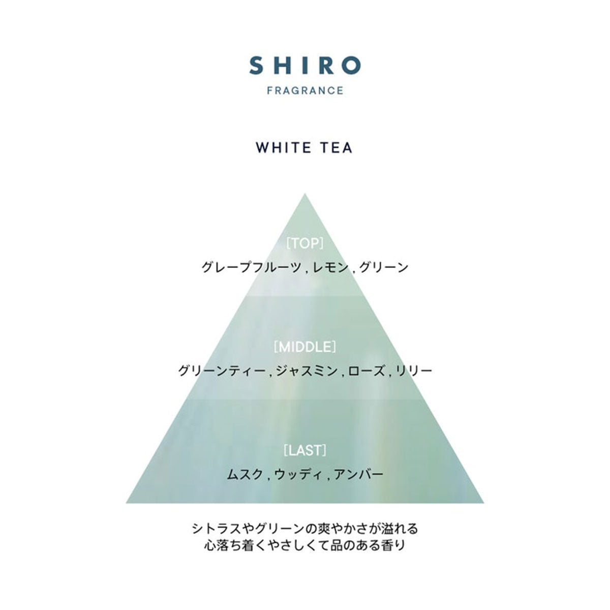 White Tea Body Milk 195g
