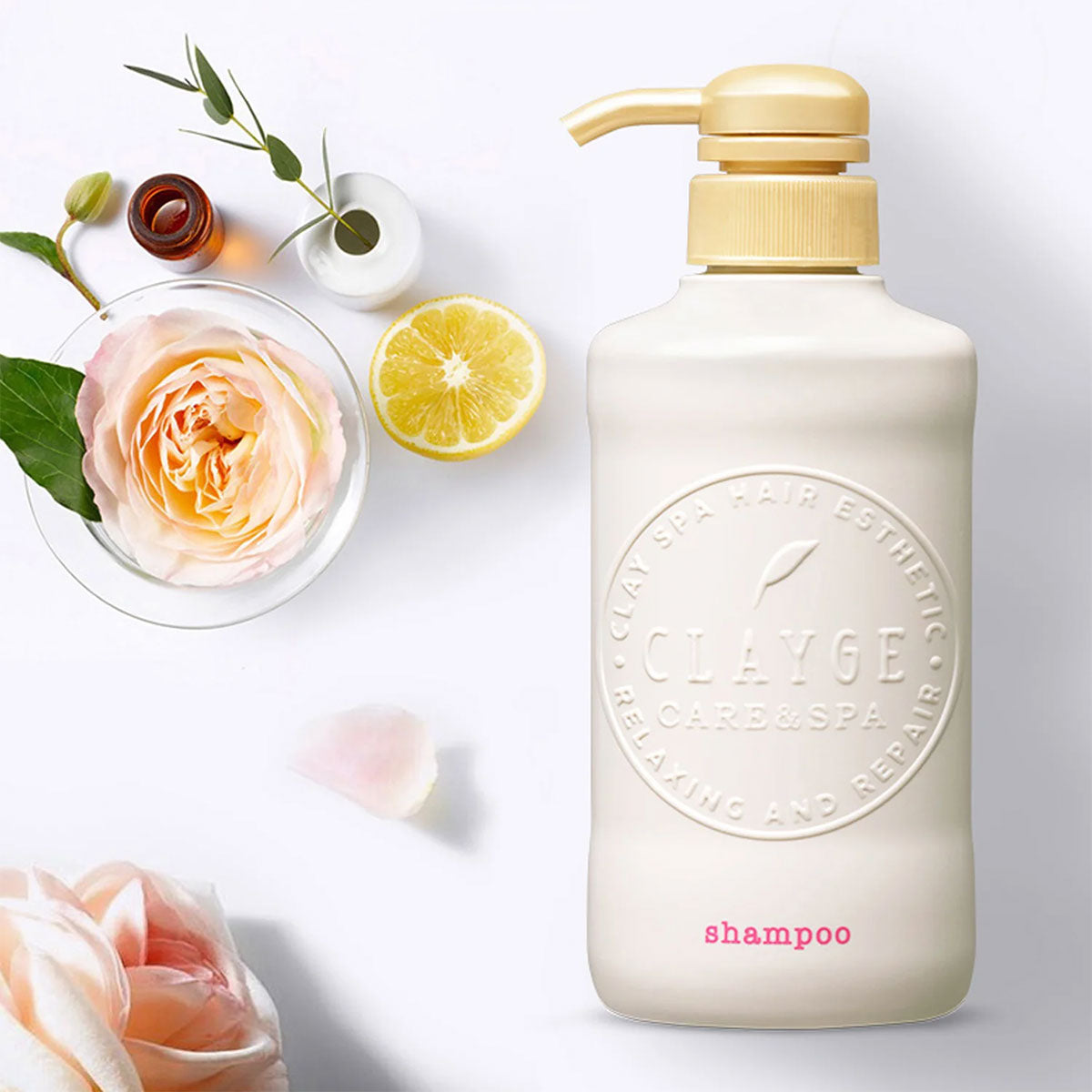 Spa Care Shampoo D # Moisture Type 500ml