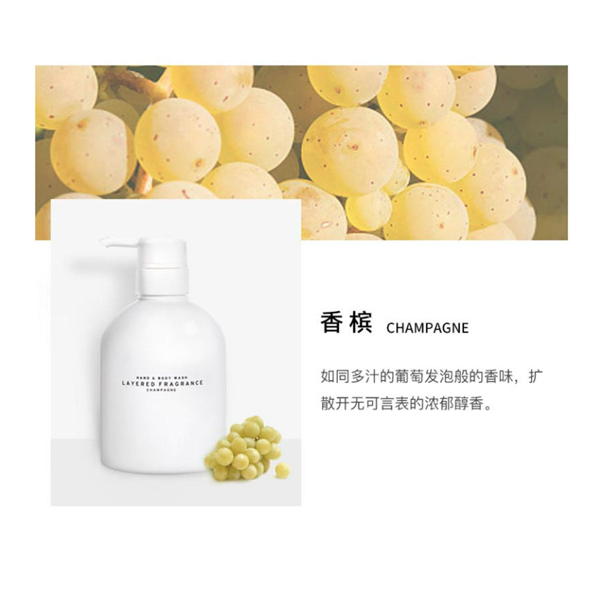 Hand & Body Wash #Champagne