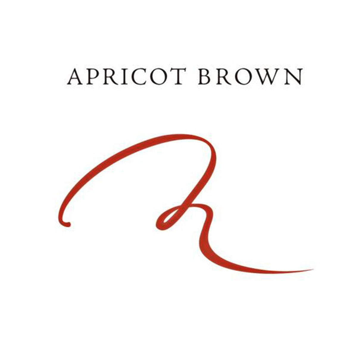 Silky Liquid Eyeliner WP #Apricot Brown