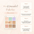 dasique Pro Concealer Palette