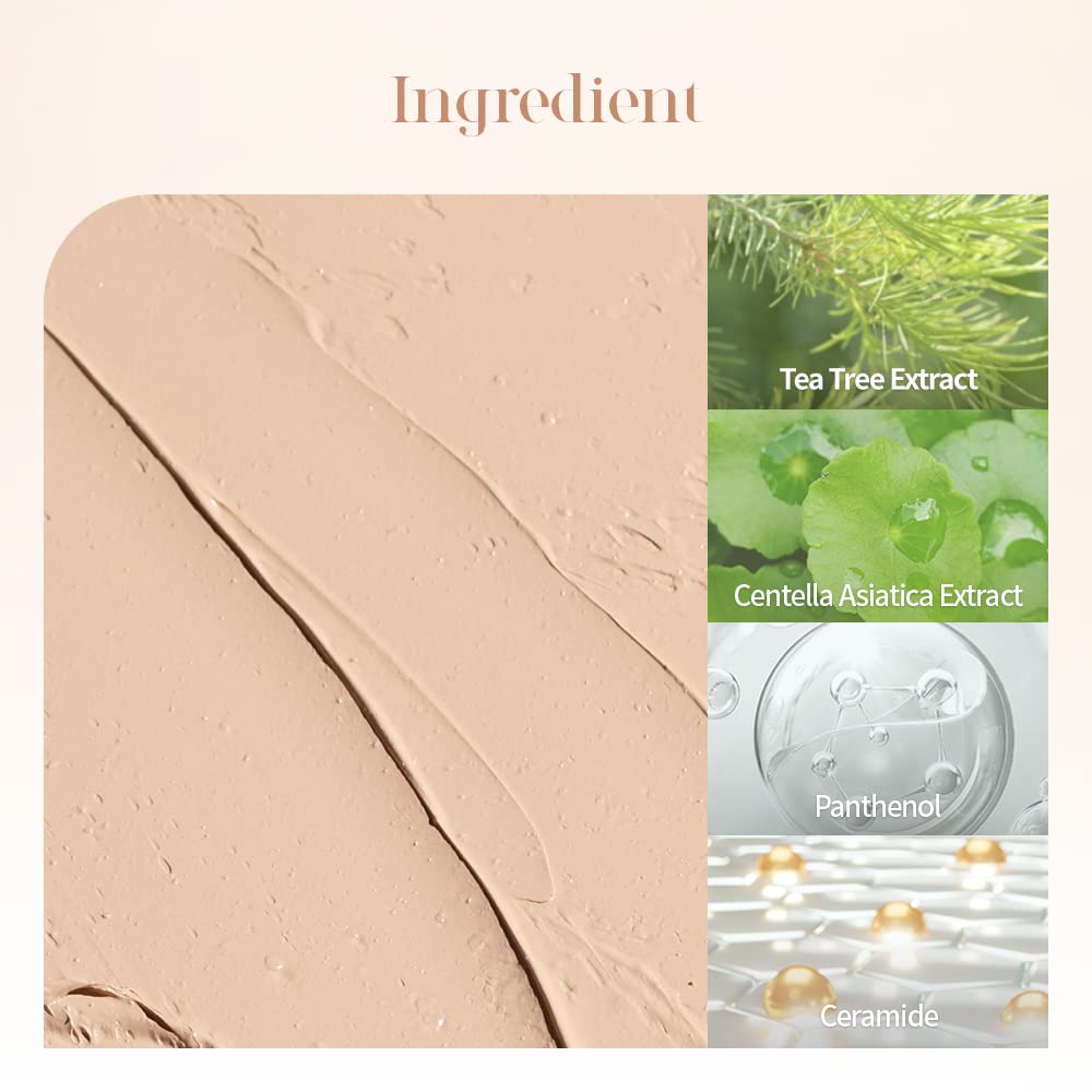 dasique Pro Concealer Palette