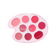dasique Mood Painting Lip & Cheek Palette | Skin Note
